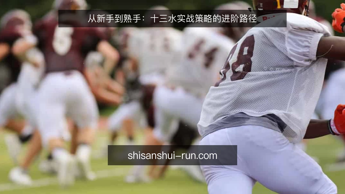 从新手到熟手:十三水实战策略的进阶路径