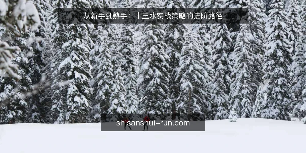 从新手到熟手:十三水实战策略的进阶路径 — 新手常见的三大困境 配图