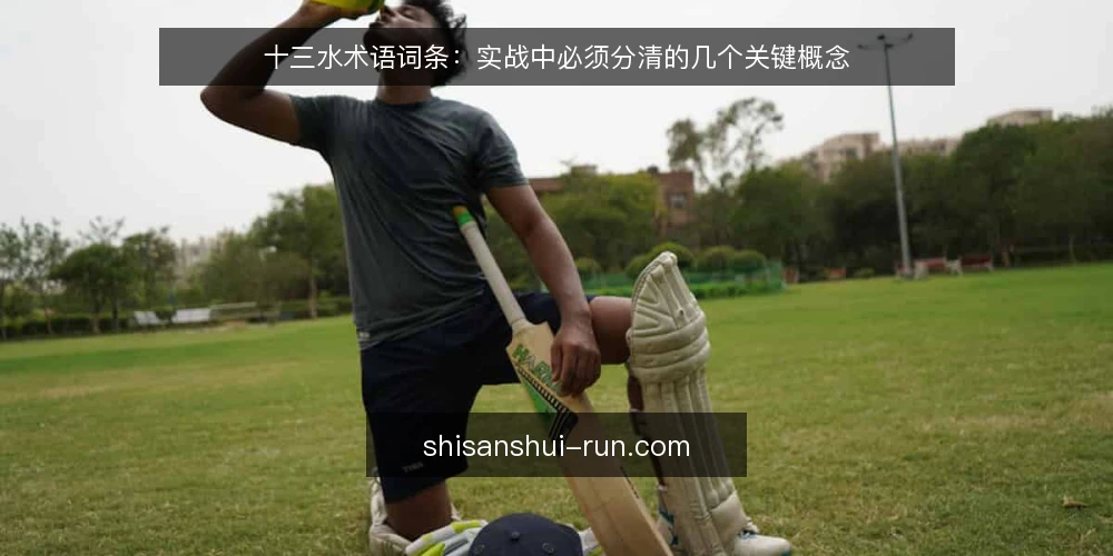 十三水术语词条:实战中必须分清的几个关键概念 — 十三水实战前,先厘清哪些术语? 配图
