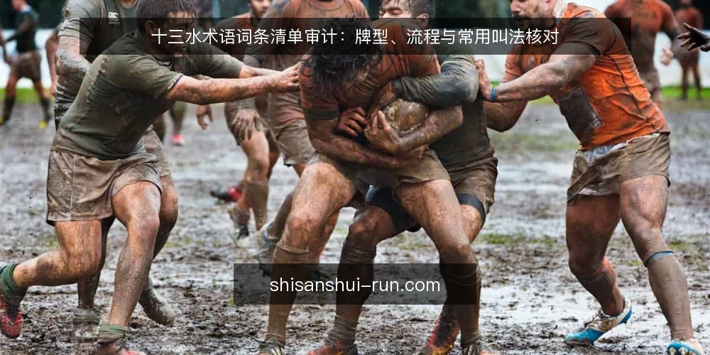 十三水术语词条清单审计:牌型、流程与常用叫法核对 — 为什么现在要做术语审计 配图