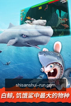 查看牌型库